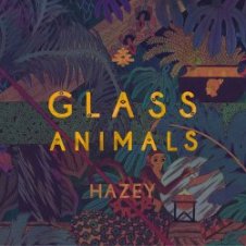 Обложка Glass Animals – Hazey
