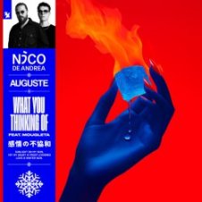 Обложка Nico de Andrea & AUGUSTE & Mougleta – What You Thinking Of
