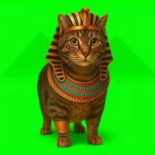 Обложка XertXetin – OIIA OIIA EGYPT CAT (Slowed)