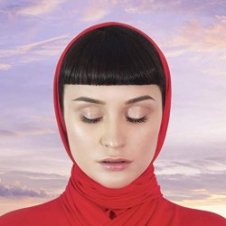 Обложка Irina Rîmeș – Dans
