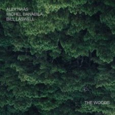Обложка Bill Laswell – Outer Woo