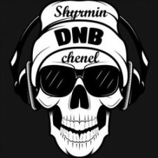 Обложка Ed Solo, MC Melo D NSS – Bassline Growler