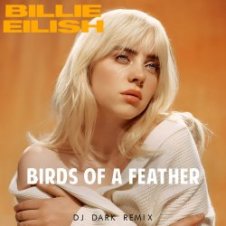 Обложка Billie Eilish – Birds Of A Feather