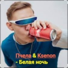 Обложка Пчела & Ksenon – Белая ночь