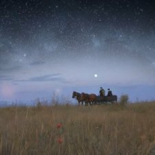Обложка Trepha – 29 Поверхів