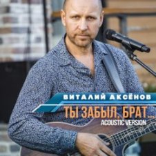 Обложка Виталий Аксенов – Ты забыл брат