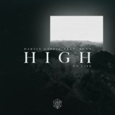 Обложка Martin Garrix – Forbidden Voices