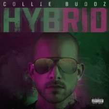 Обложка Hybrid – Break My Soul