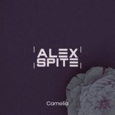 Обложка Alex Spite – Camelia