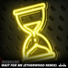 Обложка Subsonic – Wait For Me (Etherwood Remix)