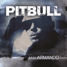Обложка Pitbull vs Afro – Maldito Alcohol