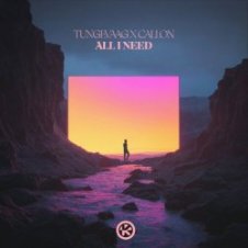 Обложка Tungevaag & Callon – All I Need