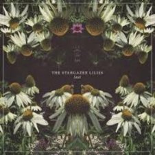 Обложка Lost World – Stargazer