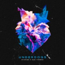 Обложка Evaride & Sam Tinnesz – Underdogs