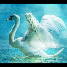 Обложка Lacross – Save Me (Swan Lake)