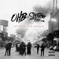 Обложка Chris Brown & OHB x Section Boyz – In Love With The Bitches