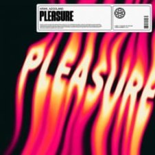 Обложка HAWK – Pleasure (feat. Azooland)