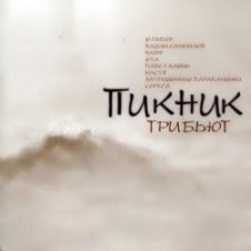 Обложка Пикник (remix dmitrii oslik parfenov) – Настоящие дни