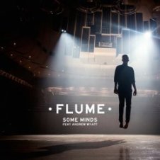 Обложка Flume – Some Minds (Feat. Andrew Wyatt)
