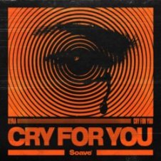 Обложка Ilyaa – Cry for You
