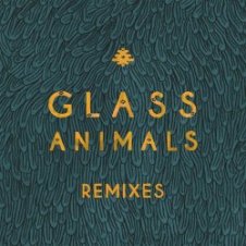 Обложка Glass Animals – Gooey Rework