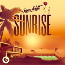 Обложка Sam Feldt – All The Things She Said