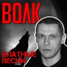 Обложка Виталий Волк – Стая