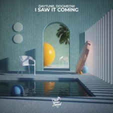 Обложка Daytune & Dogmeow – I Saw It Coming