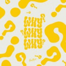 Обложка Tanaka & Lucas Estrada – WHY?