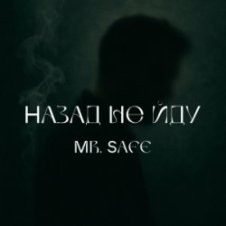 Обложка Mr. Safe – Назад не йду