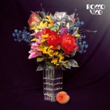 Обложка Rocco Vice – Rosemarie