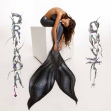Обложка DRIADA – Ветви одной сакуры