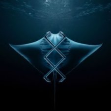 Обложка KREAM – Manta