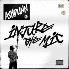 Обложка Ashdunn – Injure The Mic