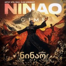 Обложка GIMS – NINAO (Arthy & Dj Raul Vlad Afroboot)