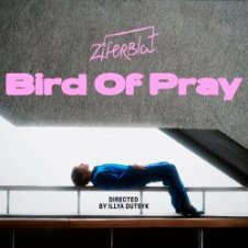 Обложка Ziferblat – Bird of Pray