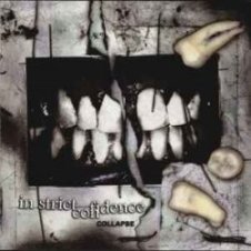 Обложка In Strict Confidence – Burning Angel (Biopsy Remix)