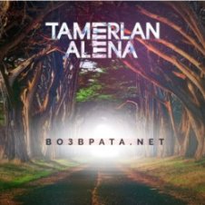 Обложка Тамерлан и Алёна – Возврата. NET