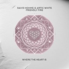 Обложка David Hohme & Artic White – Friendly Fire