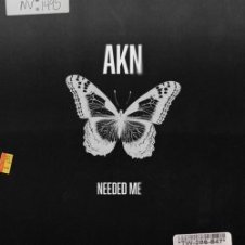 Обложка AKN – Needed Me