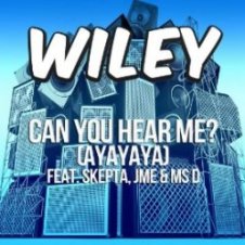 Обложка Wiley – Can You Hear Me_ (Ayayaya)