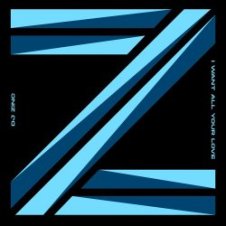 Обложка DJ Zinc – I Want All Your Love