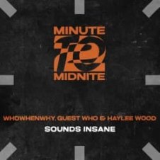Обложка WHOWHENWHY, Guest Who & Haylee Wood – Sounds Insane (Extended Mix)