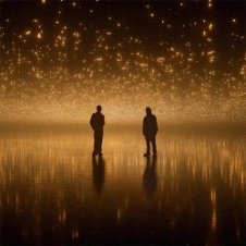 Обложка Alan Walker & KING – Story of a Bird
