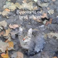 Обложка Вороняче око – котята (prod. anticøn)