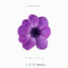 Обложка Agape – Квітка (I.T.F Remix)