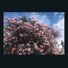 Обложка Ceres – Okay