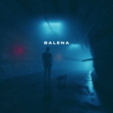 Обложка skyfall beats – balena