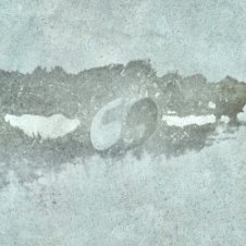 Обложка ssshhhiiittt! – Сухоцвет