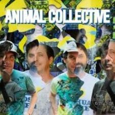Обложка Animal Collective – Who could win a rabbit
